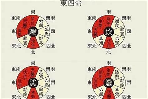 东四命住宅|风水先生和你谈户型之 东四命应该配东四宅